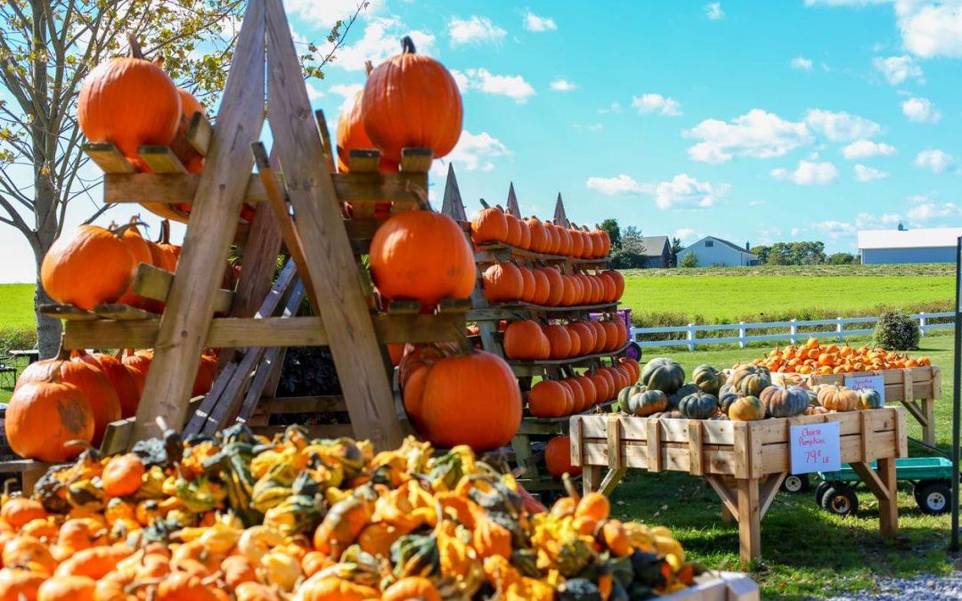 Get Ready for a Night of Excitement at Blue Bell’s Spooky Pumpkin Patch!