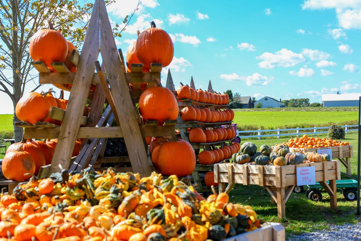 Get Ready for a Night of Excitement at Blue Bell's Spooky Pumpkin Patch!